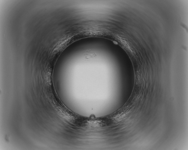 X0000097490450200802291437