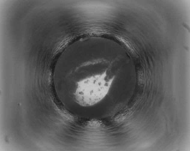 X0000097490451200802291437