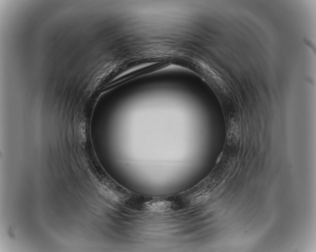 X0000097490452200802291437