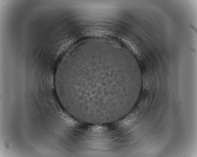 X0000097490453200802291437