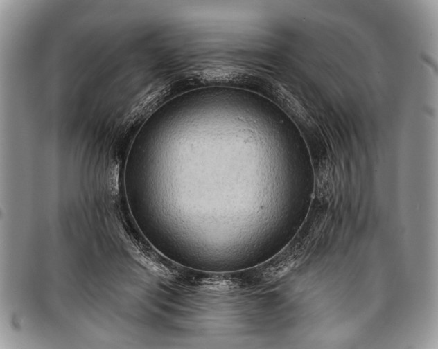 X0000097490454200802291437