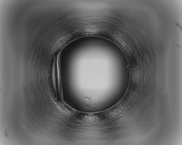 X0000097490455200802291437