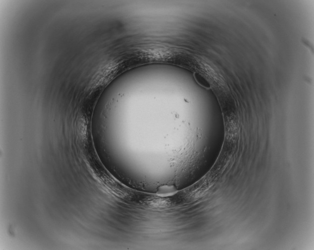 X0000097490456200802291437