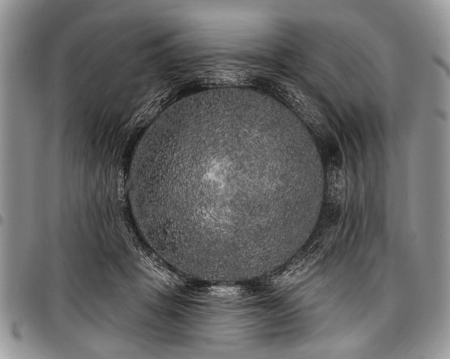 X0000097490457200802291437