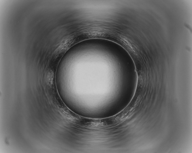 X0000097490458200802291437