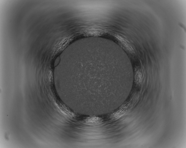 X0000097490459200802291437