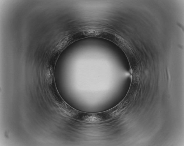 X0000097490460200802291437