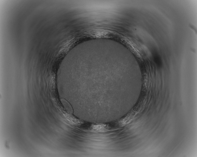 X0000097490461200802291437