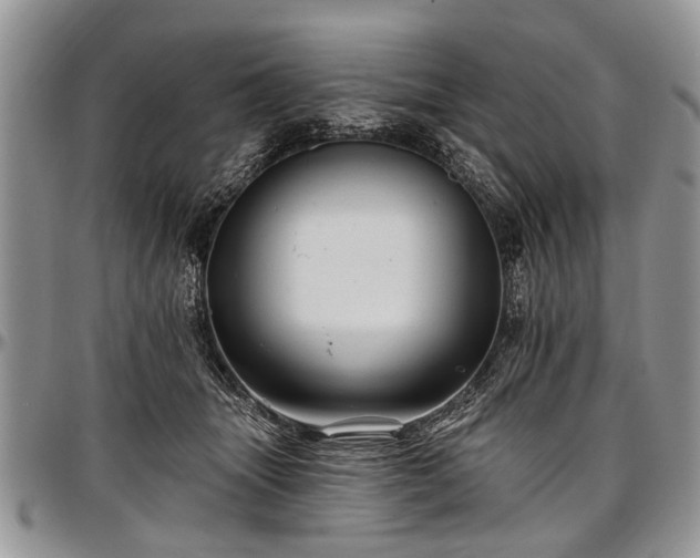 X0000097490463200802291437