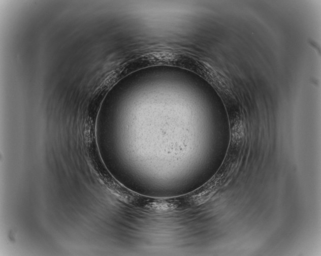 X0000097490464200802291437