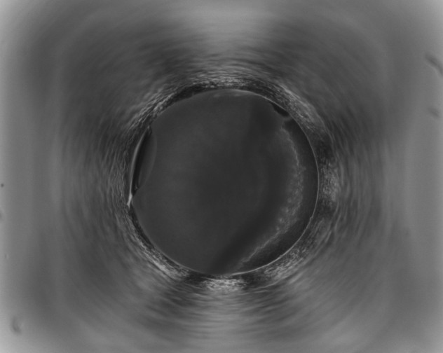 X0000097490465200802291437