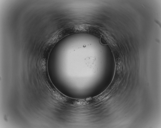 X0000097490466200802291437