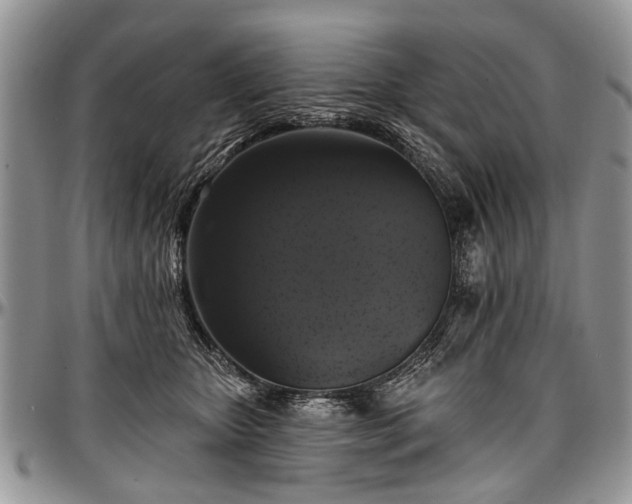 X0000097490467200802291437