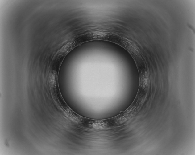 X0000097490468200802291437