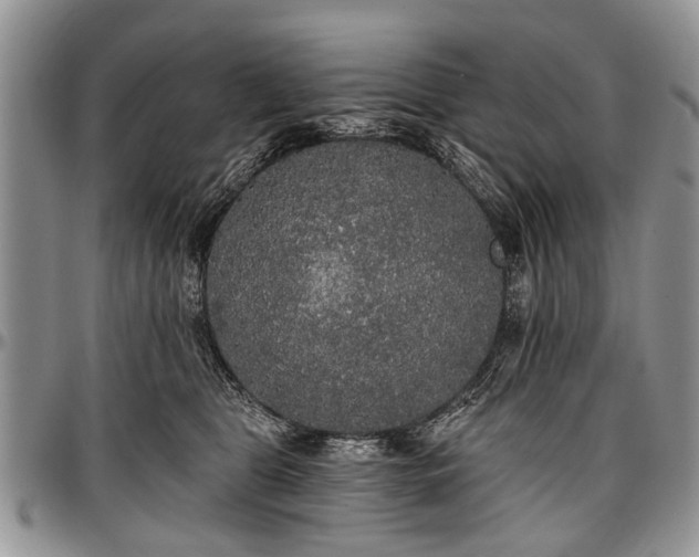 X0000097490469200802291437