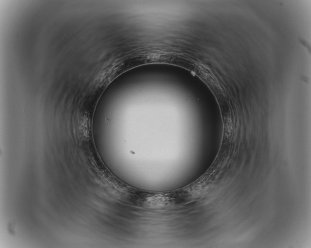 X0000097490470200802291437