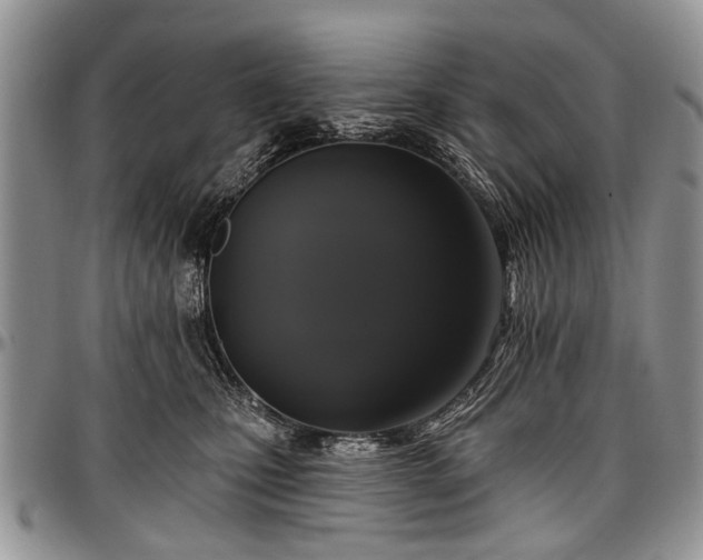 X0000097490471200802291437