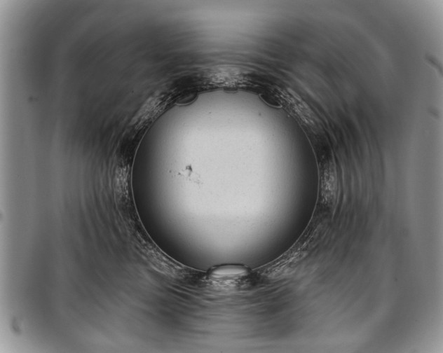 X0000097490473200802291437