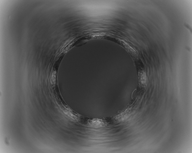 X0000097490475200802291437