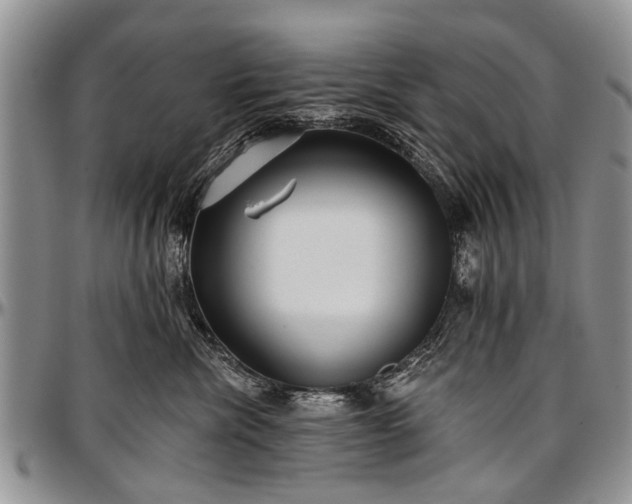 X0000097490476200802291437