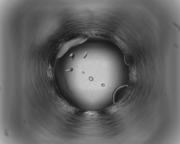 X0000097490477200802291437