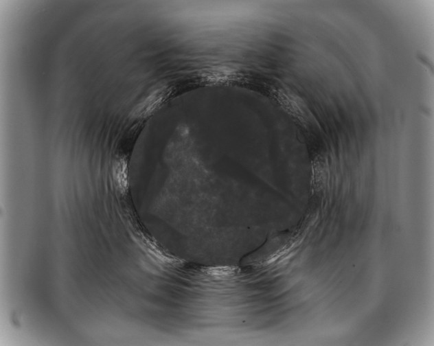 X0000097490479200802291437