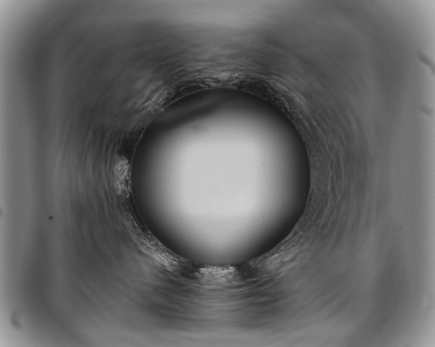 X0000097490480200802291437