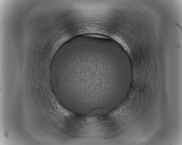 X0000097490481200802291436