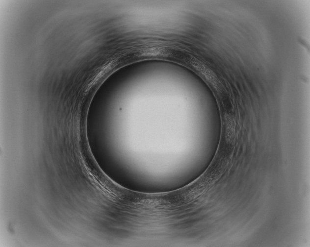 X0000097490482200802291436