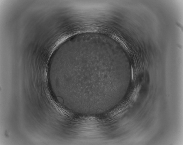 X0000097490483200802291436