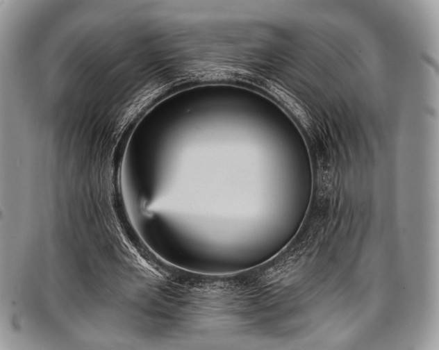 X0000097490485200802291436