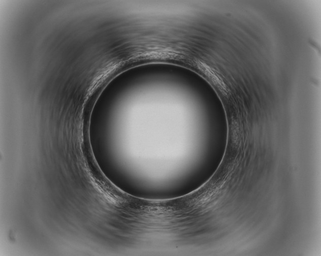 X0000097490486200802291436