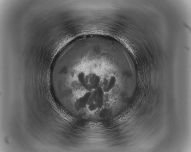 X0000097490487200802291436