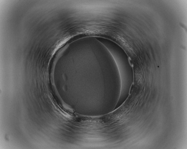 X0000097490488200802291436