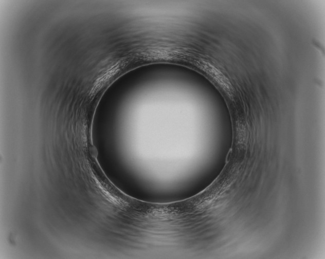 X0000097490489200802291436