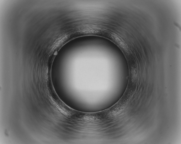 X0000097490490200802291436