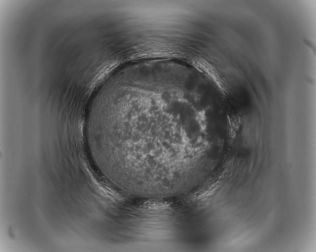 X0000097490491200802291436