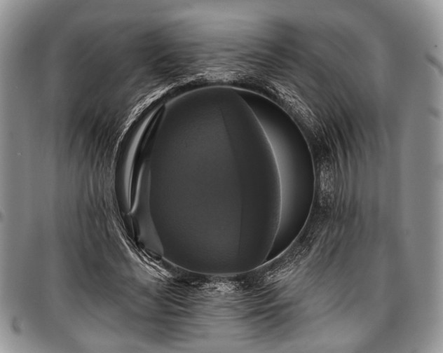 X0000097490492200802291436