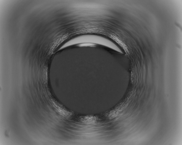 X0000097490493200802291436