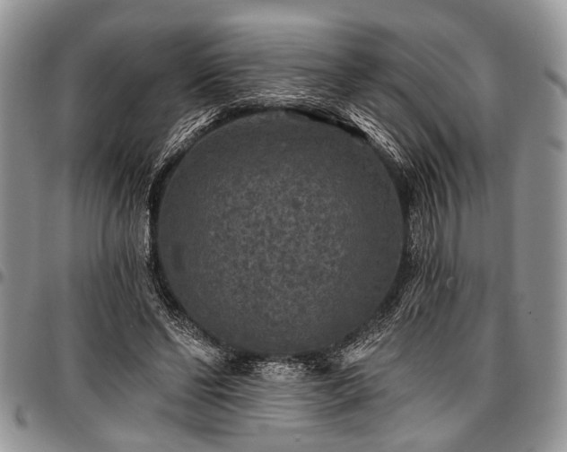 X0000097490494200802291436