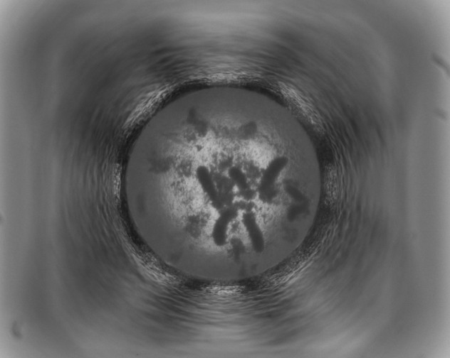 X0000097490495200802291436