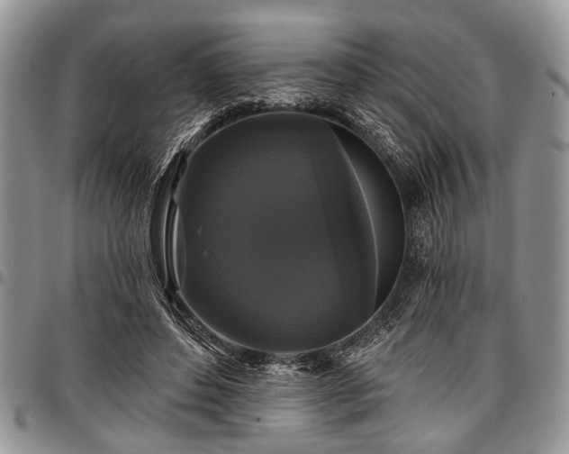 X0000097490496200802291436