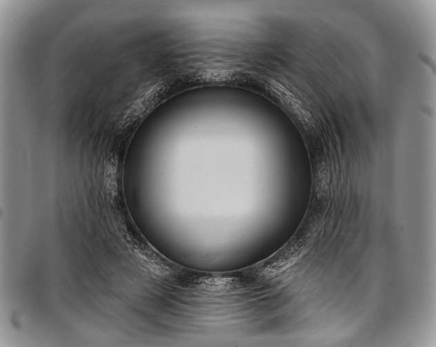 X0000097490497200802291436