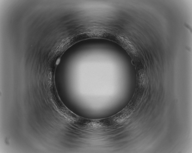 X0000097490498200802291436