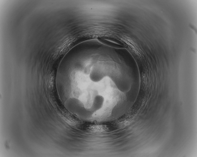 X0000097490499200802291436