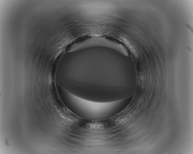 X0000097490500200802291436