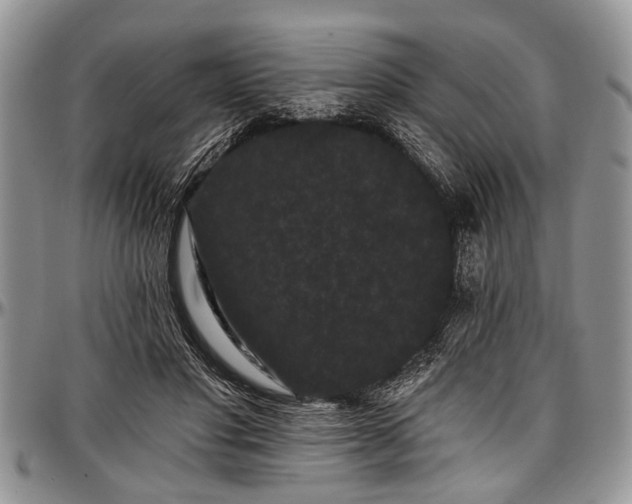 X0000097490501200802291436