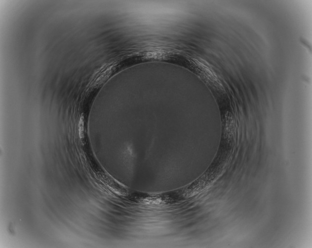 X0000097490502200802291436