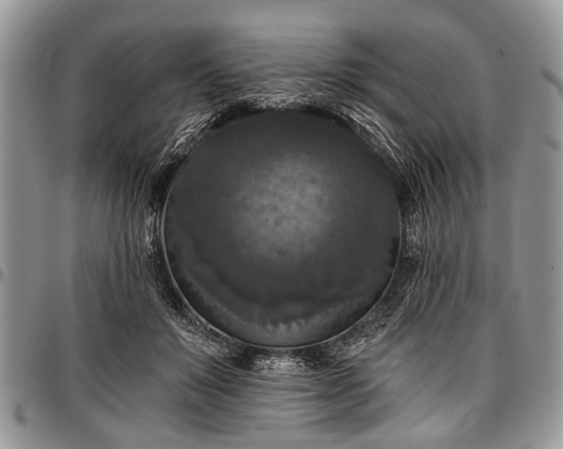 X0000097490503200802291436