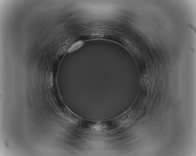 X0000097490504200802291436